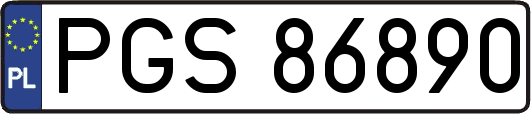 PGS86890