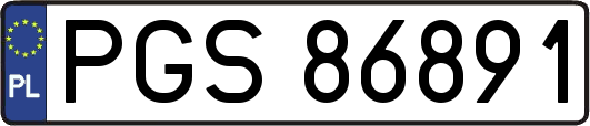 PGS86891