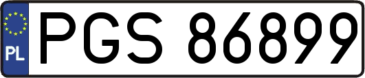 PGS86899