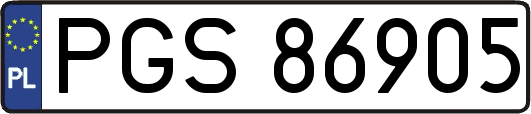 PGS86905