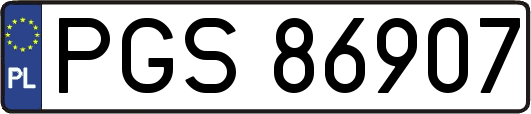 PGS86907