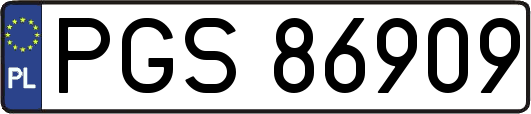 PGS86909