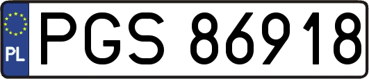 PGS86918