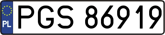 PGS86919