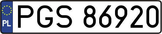 PGS86920