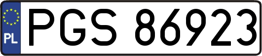 PGS86923