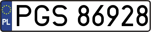 PGS86928