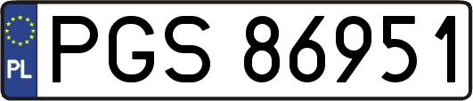 PGS86951