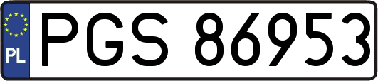 PGS86953