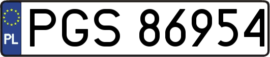 PGS86954
