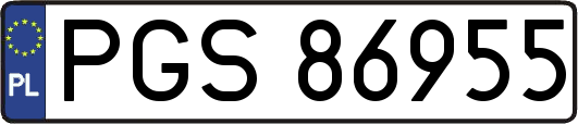 PGS86955