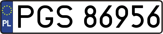 PGS86956