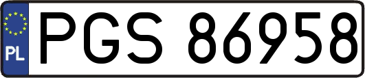 PGS86958