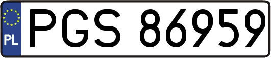 PGS86959