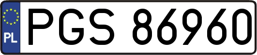 PGS86960