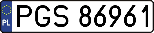PGS86961