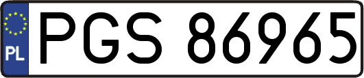 PGS86965