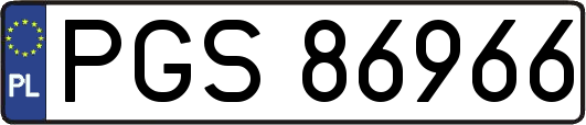 PGS86966