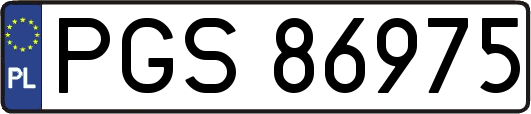 PGS86975