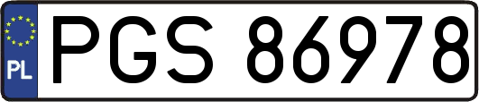 PGS86978