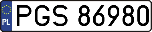 PGS86980