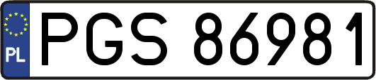 PGS86981