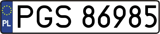 PGS86985