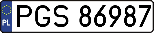 PGS86987