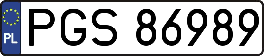 PGS86989
