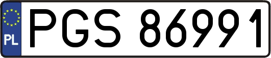 PGS86991