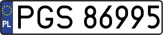 PGS86995