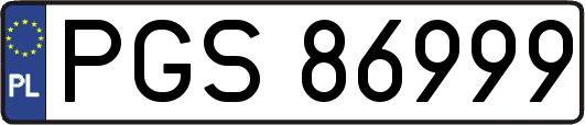 PGS86999