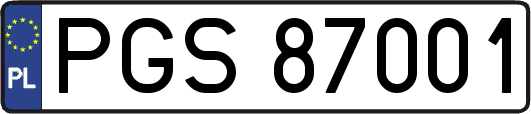PGS87001