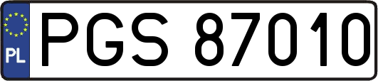 PGS87010