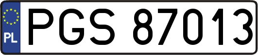 PGS87013