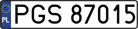 PGS87015