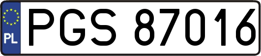 PGS87016