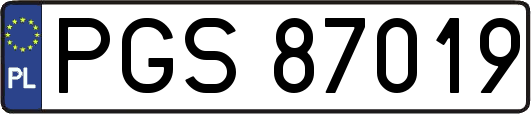 PGS87019
