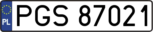 PGS87021