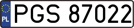 PGS87022