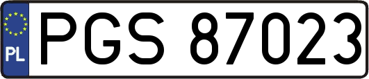 PGS87023