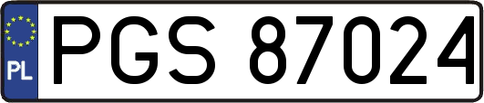 PGS87024