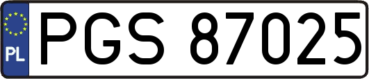 PGS87025