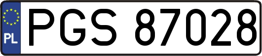 PGS87028