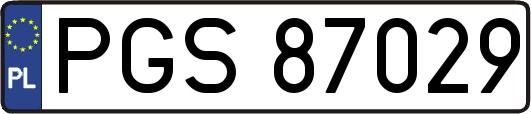 PGS87029