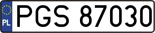 PGS87030