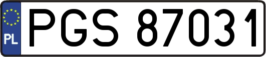 PGS87031