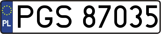 PGS87035
