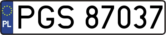 PGS87037