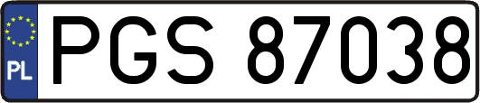 PGS87038